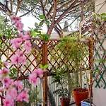 La Casa Di Zima